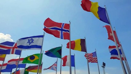 ACTION MOVIE "AUTHENTIC PHOTOGRAPHS OF AN ALIEN"