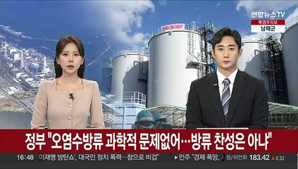 정부 "오염수 방류 과학적 문제 없어…방류 찬성은 아냐"