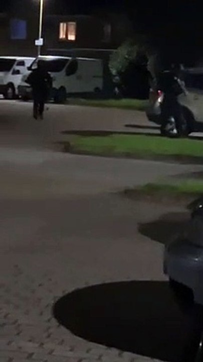 Pulrose armed response