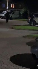 Pulrose armed response