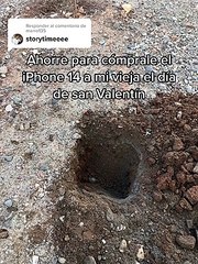 Enterra poupanças em jardim e meses depois descobre que perdeu tudo