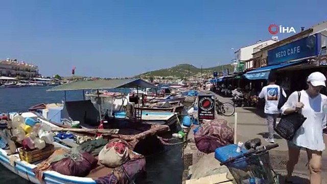 İzmir Foçada turizmi denizanası vurdu, plajlar boş kaldı