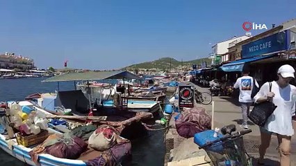 İzmir Foçada turizmi denizanası vurdu, plajlar boş kaldı