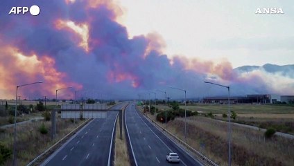 Descargar video: Incendi in Grecia, il fumo dei roghi oscura il cielo