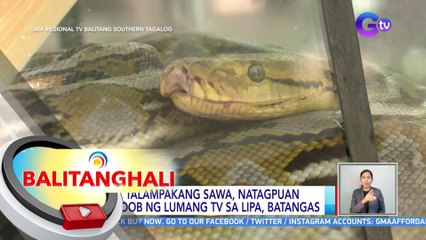 6 na talampakang sawa, natagpuan sa loob ng lumang TV sa Lipa, Batangas | BT
