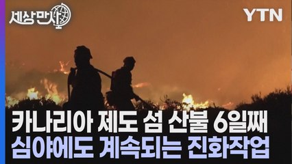 [세상만사] 6일째 산불 끄느라 고군분투 중인 카나리아 제도의 소방관들 / YTN
