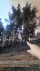 Συγκλονίζει η Κουρτίδου για τη φωτιά στην Αλεξανδρούπολη: «Τρίτη μέρα καιγόμαστε, σαν να είμαστε στην κόλαση» 2