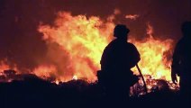 فرق الاطفاء الإسبانية تواصل مكافحة الحرائق في جزيرة تينيريفي