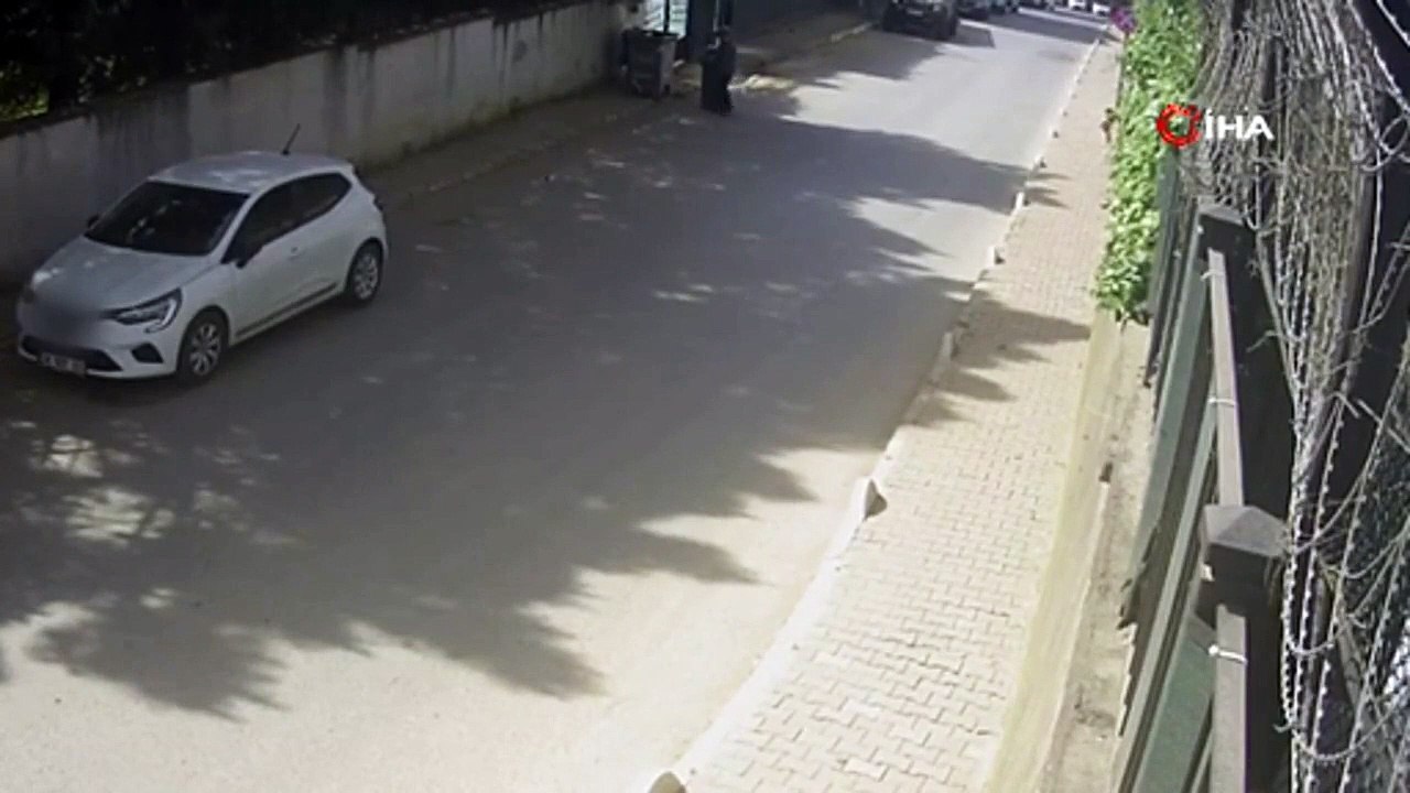Başıboş köpeklerin saldırdığı kadınlar canlarını zor kurtardı! Dehşet anları kamerada