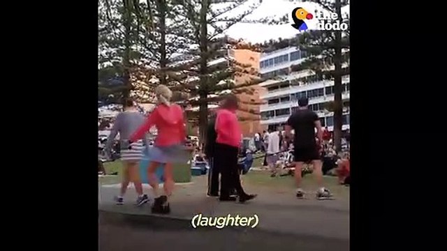 Dog PLAYS DEAD to Avoid Going Home While Park Crowd Watches The Dodo