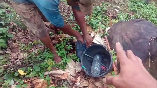 IDE KREATIF MENAKJUBKAN ‼️KENAPA GAK TAU DARI DULU CARA MEMBUAT IRIGASI TETES MUDAH DAN GRATIS INI