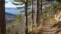 Das sind Deutschlands beliebteste Wanderwege