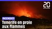 Incendies à Tenerife : Plus de 14.000 hectares partis en fumée