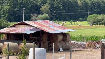 Prace przy drogach powiatu czarnkowsko-trzcianeckiego