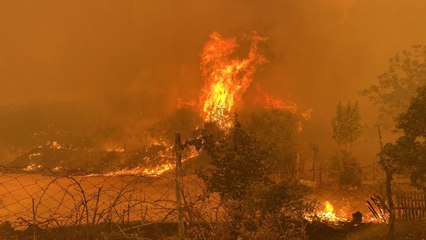 Çanakkale'de orman yangını
