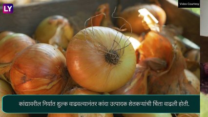 Onion News: शेतकऱ्यांसाठी उपमुख्यमंत्री फडणवीसांची महत्वाची माहिती, दोन लाख मेट्रिक टन कांदा केंद्र सरकार खरेदी करणार