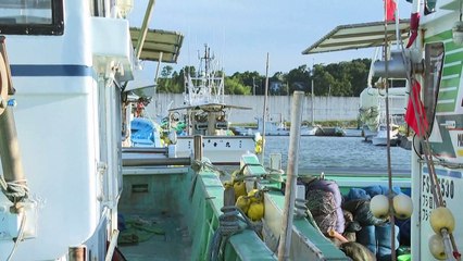 Japão anuncia início do despejo da água de Fukushima no mar