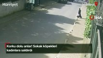 İstanbul’da korku dolu anlar: Kadınlar sokak köpeği saldırısına uğradı