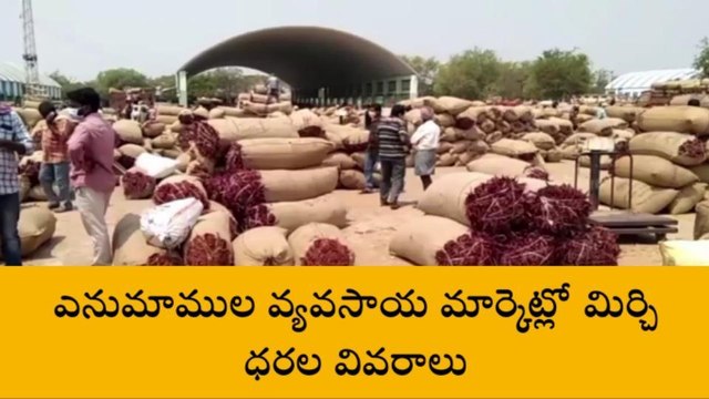 వరంగల్: పెరిగిన మిర్చి ధరలు..ఆనందంలో రైతులు