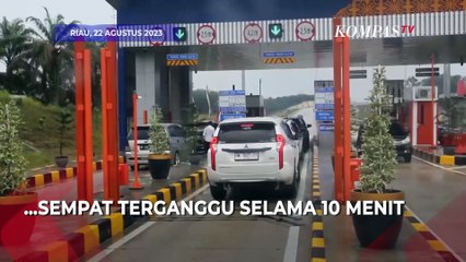 Viral Video Anjing Kejar Babi Masuk Jalan Tol di Riau, Ini Kata Petugas