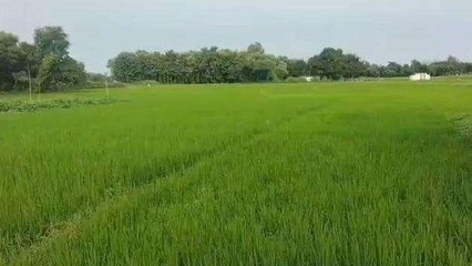 गाजीपुर: जानिए 5 दिनों तक कैसा होगा मौसम का मिजाज, क्या बोले विशेषज्ञ देखें वीडियो