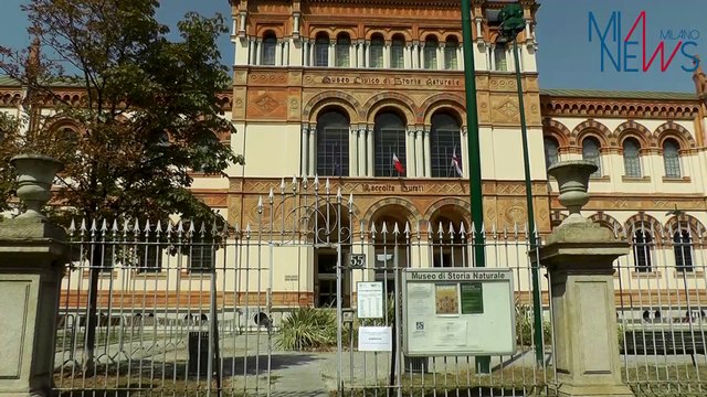 Milano, dopo il nubifragio ai Giardini Montanelli riaprono il Museo di Storia Naturale e il Planetario