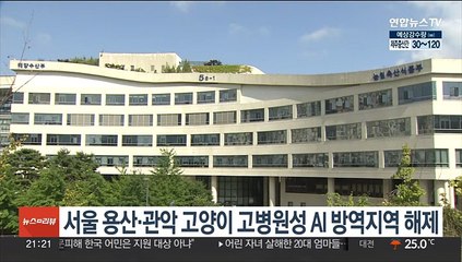 서울 용산·관악 고양이 고병원성 AI 방역지역 해제