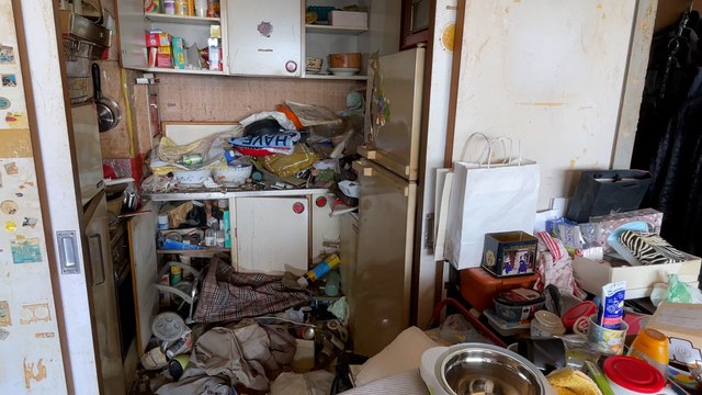 Diogène : déchets, babioles, cafards... Leur mission : nettoyer les logements en Île-de-France