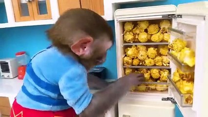 Monkey Baby Bon Bon oes to the toilet and plays with Ducklings in the swimming pool