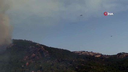 Feu de forêt à Çanakkale ! Un village a été évacué, l'autoroute a été fermée à la circulation