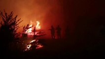Wildfires prompt evacuations near Greek city of Alexandroupolis