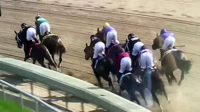Após estribo quebrar, jockey se agarra a cavalo com todas suas forças