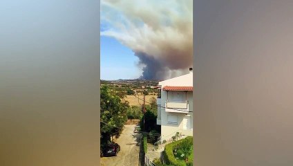 Dernière minute! Les corps de 18 personnes ont été retrouvés dans la zone forestière où les incendies se poursuivent en Grèce