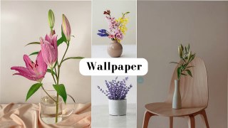 Beautiful & Gorgeous Flowers In Pot/Vase  || Wallpaper For Mobile || OJEBAR244