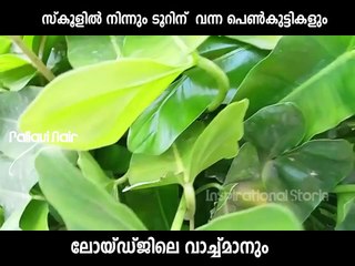 ഉമ്മയില്ലാത്ത നേരത്ത് ഉപ്പ മകളെ സ്വർഗം കാണിച്ചു  Inspirational Storie Pallavi Nair