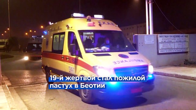 Греция: обнаружены 19 жертв второй волны пожаров