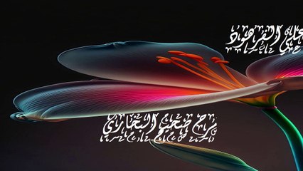 شرح صحيح البخاري (من كتاب البيوع إلى كتاب المظالم والغصب قناة علي الفرهود