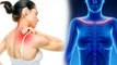 Bra Strap Syndrome Kya Hai | Shoulder Pain Bra Strap Reason | Best Bra For Neck Pain | Boldsky