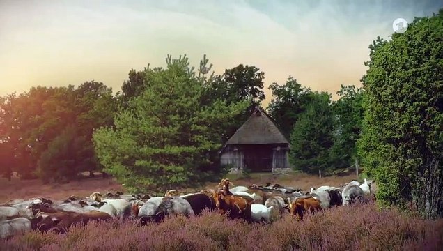 Rote Rosen 3811 folge