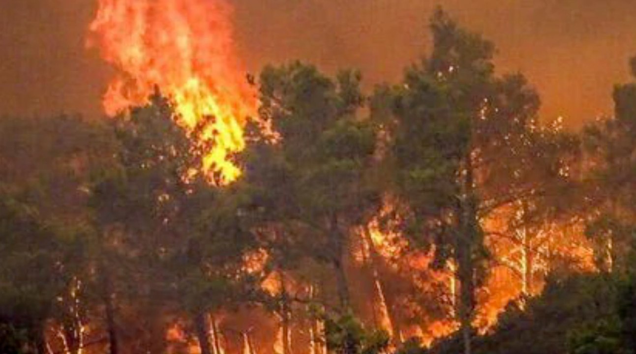 Schlimmer Waldbrand auf der Urlaubsinsel Elba ausgebrochen