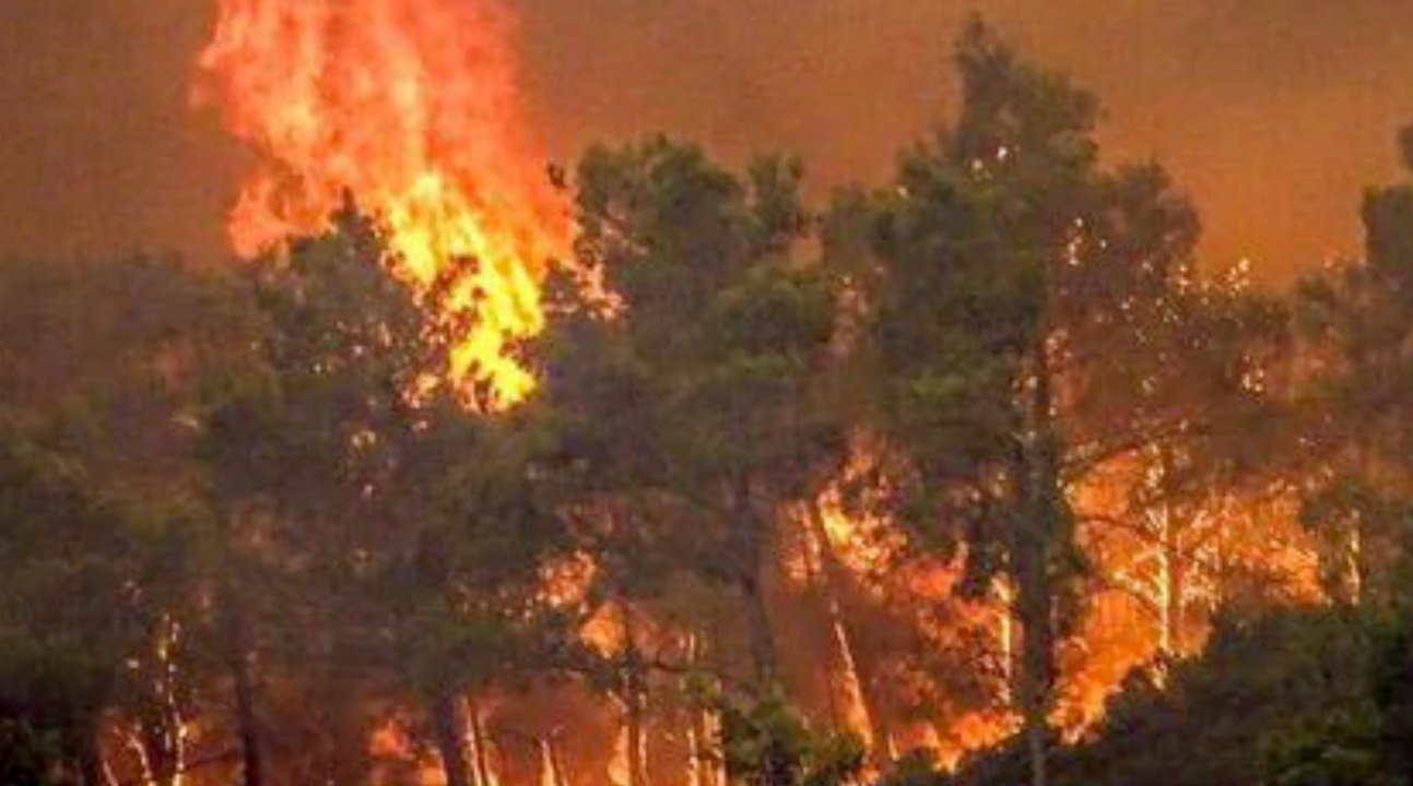 Schlimmer Waldbrand auf der Urlaubsinsel Elba ausgebrochen