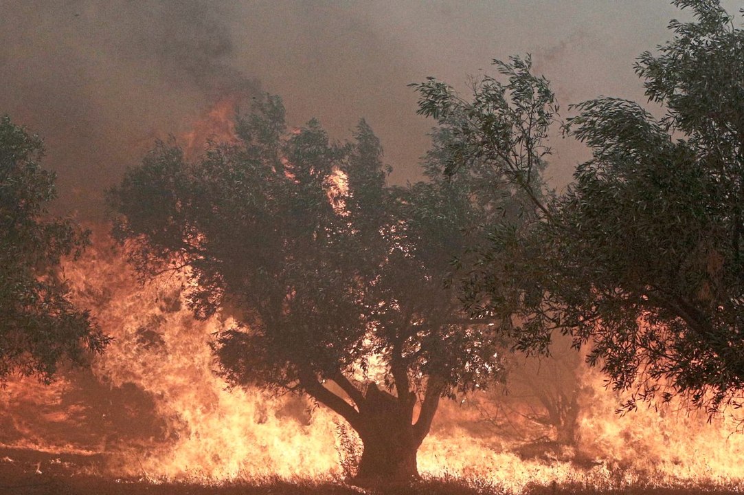Feuer in Griechenland: Offenbar 18 Migranten ums Leben gekommen