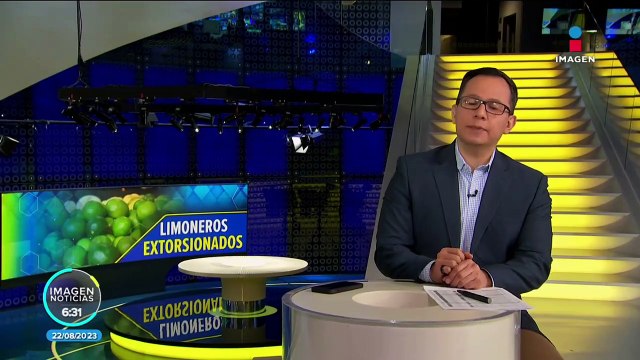 Limoneros denuncian extorsiones por parte del crimen organizado en Michoacán