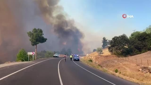 Çanakkale Dörtyol köyü yakınlarında orman yangını çıktı