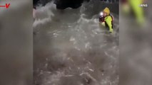 Lucky Swimmer Is Rescued From ‘Treacherous’ Waves at Night
