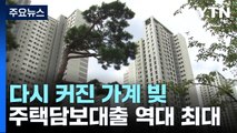 다시 커진 가계 빚...주택담보대출 역대 최대 / YTN