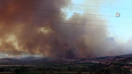 Bilecik'te orman yangını: Yüksek hızlı tren şantiyesine ilerledi