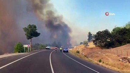 Un incendie de forêt s'est déclaré près du village de Dortyol, Çanakkale