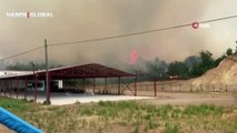 Çanakkale'de orman yangını çıktı! Bölge tahliye ediliyor