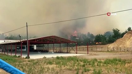 Çanakkale'deki orman yangınına havadan ve karadan müdahale devam ediyor